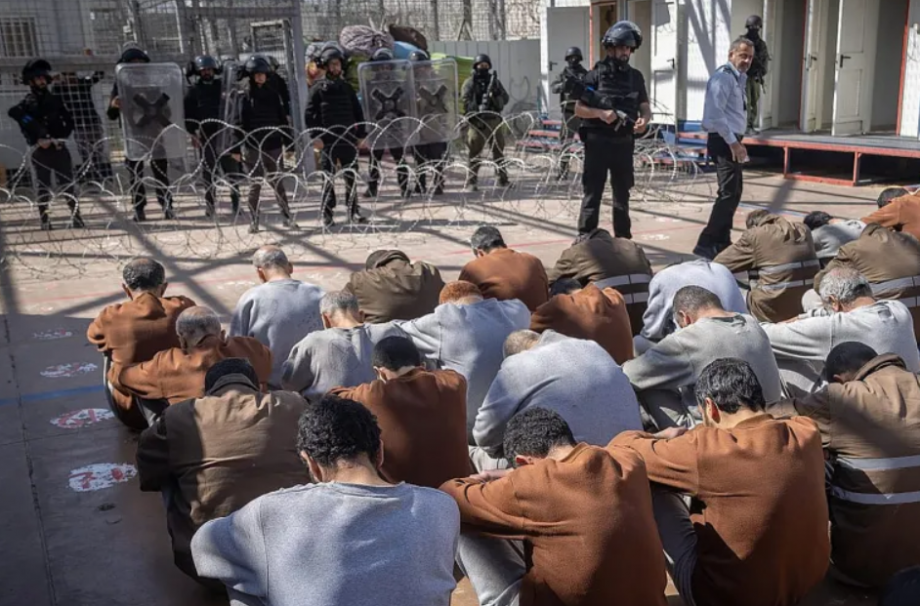 أطلقت الكلاب البوليسية تجاههم وأخضعتهم للشبح والتنكيل