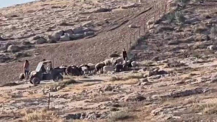 محافظة القدس: المستوطن عرقل حركة الأهالي ومنع دخولهم وخروجهم ضمن سياسة تضييق متواصلة تستهدف التجمعات البدوية شرق المدينة.