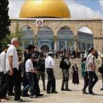 1478 مستوطنًا اقتحموا الاقصى خلال أسبوع