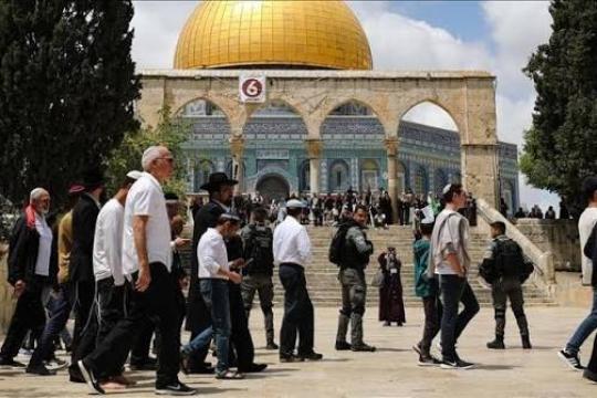 1478 مستوطنًا اقتحموا الاقصى خلال أسبوع