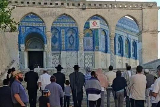 مستوطنون يقتحمون الأقصى ويؤدون طقوسا تلمودية في باحاته