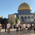 اقتحامات جماعية للمستوطنين للمسجد الأقصى بمناسبة ما يسمى عيد الحانوكا