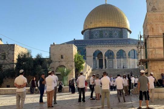 اقتحامات جماعية للمستوطنين للمسجد الأقصى بمناسبة ما يسمى عيد الحانوكا