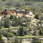 لليوم الثاني.. الاحتلال يواصل تجريف الأراضي واقتلاع الزيتون في برقة