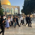 محافظة القدس تحذر من خطورة القانون الإسرائيلي الجديد على المسجد الأقصى