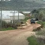 الاحتلال يخطر بإزالة عشرات البيوت الزراعية بالجلمة ومزارعون يواجهون خسائر فادحة