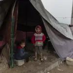 خطر خفي في العتمة.. القوارض تغزو مخيمات النزوح في غزة