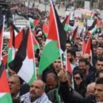 القوى الوطنية والإسلامية: الاحتلال يصعد عدوانه لضرب جهود الاستقرار وإعاقة عمل لجنة إدارة غزة