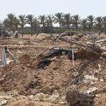 3.5 مليار دولار خسائر الزراعة في غزة منذ بدء الحرب