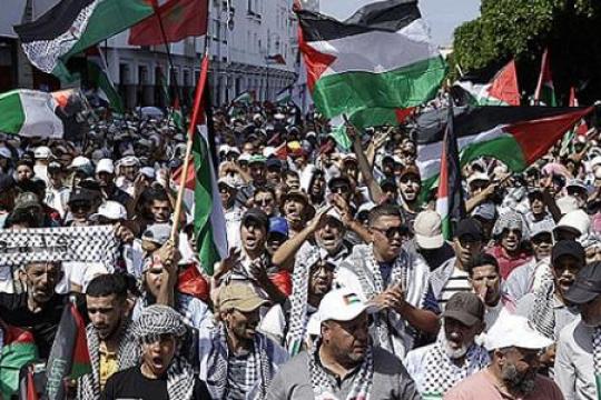 80 مظاهرة في 45 مدينة مغربية تضامنًا مع غزة والأقصى