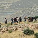 مستوطنون يقتحمون محيط منازل المواطنين في المغير شرق رام الله وسط حماية من قوات الاحتلال