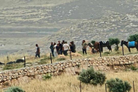 مستوطنون يقتحمون محيط منازل المواطنين في المغير شرق رام الله وسط حماية من قوات الاحتلال