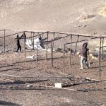 مستوطنون يسيّجون أراضٍ جديدة قرب خيام المواطنين بالأغوار الشمالية