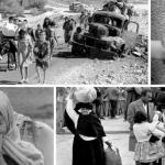 الإحصاء: عدد الفلسطينيين بلغ 15.5 مليوناً في الذكرى الـ78 للنكبة