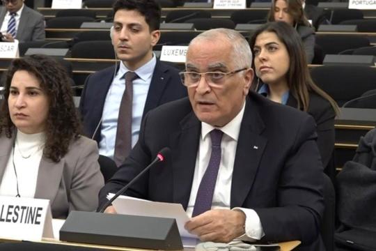 خريشي: تقرير المقررة الأممية ألبانيز يوثق تعذيبا ممنهجا بحق الفلسطينيين يرقى للإبادة الجماعية