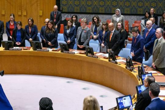 بالتفاصيل.. قراران دوليان لصالح فلسطين في جمعية الصحة العالمية