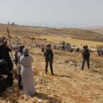 محافظة القدس تحذّر من مخطط لإفراغ التجمعات البدوية لصالح التوسع الاستيطاني