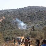 مستوطنون يمنعون الفلسطينيين من قطف الزيتون في سنجل وترمسعيا