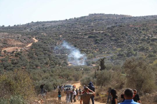 مستوطنون يمنعون الفلسطينيين من قطف الزيتون في سنجل وترمسعيا