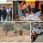 اعتقالات وتصاعد اعتداءات المستوطنين على قاطفي الزيتون في الضفة.. وشهداء وجرحى في غزة وأزمة تهدد المخابز