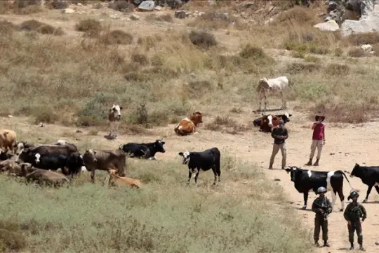 التجمعات البدوية في القدس تحت خطر الهدم والطرد ومخطط E1