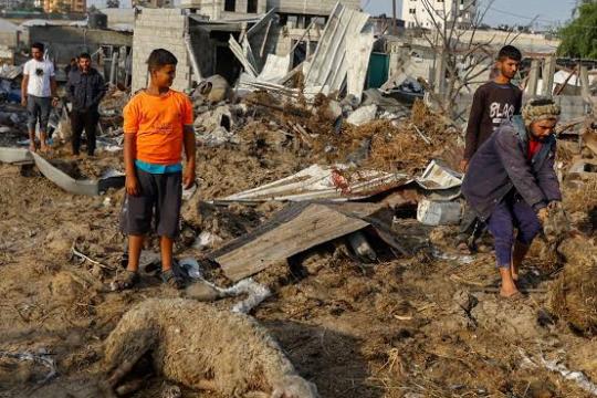 الزراعة في غزة: 87.6% من الأراضي الزراعية تضررت والحصار يهدد بتوقف الإنتاج