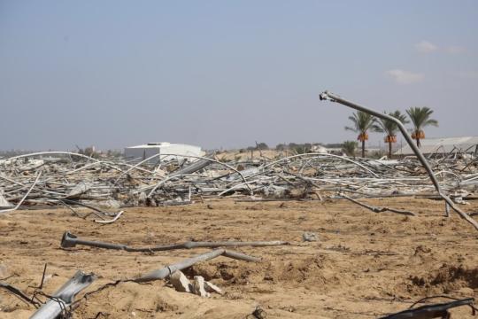 سلطة الأراضي: إجراءات جديدة لحماية الملكية العقارية في فلسطين