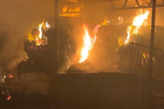 مستوطنون يحرقون خياماً في الأغوار الشمالية وسط تصاعد الاعتداءات