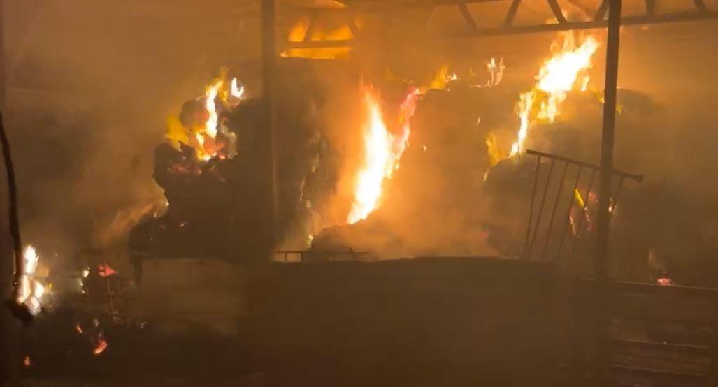 هيئة مقاومة الجدار: 1872 اعتداء خلال يناير تركزت في الخليل ورام الله ونابلس والقدس