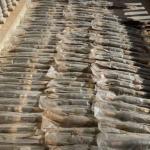 الداخلية السورية: إحباط محاولة تهريب شحنة أسلحة باتجاه لبنان