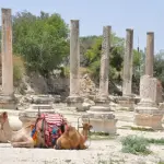 الحكومة الإسرائيلية تُقرّ تمويلًا إضافيًا لتعزيز سيطرتها على مواقع أثرية في الضفة الغربية