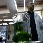 دراسة: أساليب التدريس وراء "رهاب الكيمياء" لا صعوبة المادة