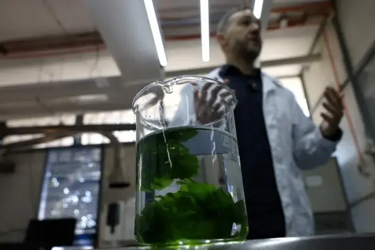 دراسة: أساليب التدريس وراء "رهاب الكيمياء" لا صعوبة المادة