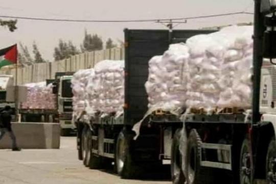 ارتفاع الصادرات والواردات الفلسطينية في يناير 2026 وزيادة العجز التجاري