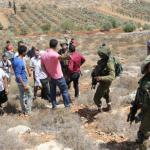 انتقادات داخل المؤسسة الأمنية الإسرائيلية: الجيش «وحيد» في مواجهة اعتداءات المستوطنين بالضفة