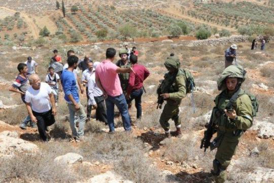 انتقادات داخل المؤسسة الأمنية الإسرائيلية: الجيش «وحيد» في مواجهة اعتداءات المستوطنين بالضفة