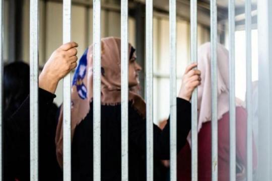 هيئة الأسرى: الأسيرات في سجن "الدامون" يواجهن ظروفًا اعتقالية قاسية وحرمانًا من الحقوق الأساسية