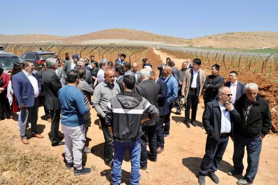 وفد دبلوماسي يطّلع ميدانياً على انتهاكات الاحتلال في طوباس والأغوار الشمالية