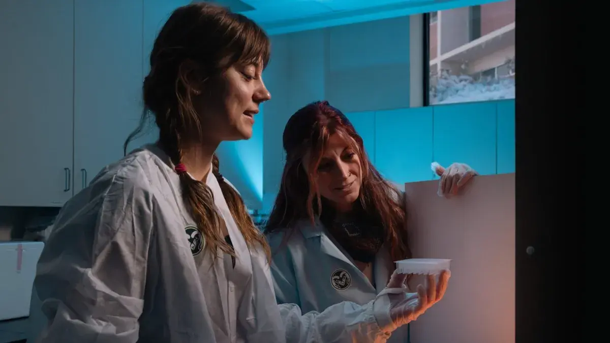 باحثون يكشفون دورًا خفيًا لجزيئات دقيقة بيولوجية في تشكيل السحب وتحسين فهم التغير المناخي