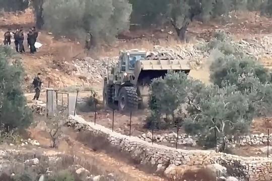 الاحتلال يقتلع أكثر من 400 شجرة زيتون ويجرف 31 دونمًا في بيت ريما