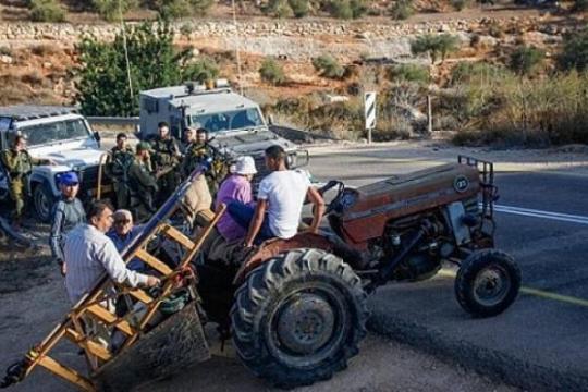 الاحتلال يمنع المزارعين من قطف ثمار الزيتون في بلدة بيتا جنوب نابلس