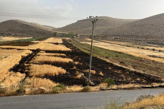 مستوطنون يعتدون على منزل في خلة السدرة شرق القدس ويخربون محتوياته