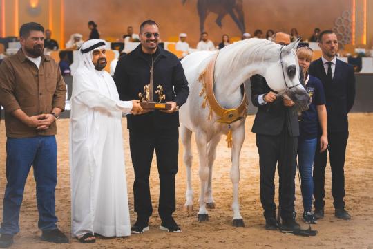 الخيول الفلسطينية تتألق في بطولة دبي الدولية للجواد العربي 2026 وتحصد الذهب والفضة