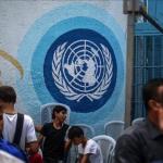«أونروا» تطلق مسحًا دوريًا لرصد أوضاع اللاجئين الفلسطينيين من سوريا في لبنان