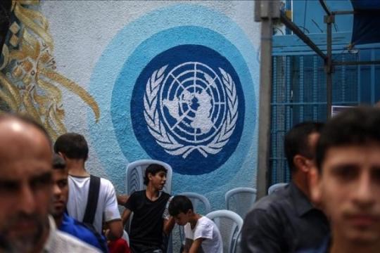 «أونروا» تطلق مسحًا دوريًا لرصد أوضاع اللاجئين الفلسطينيين من سوريا في لبنان