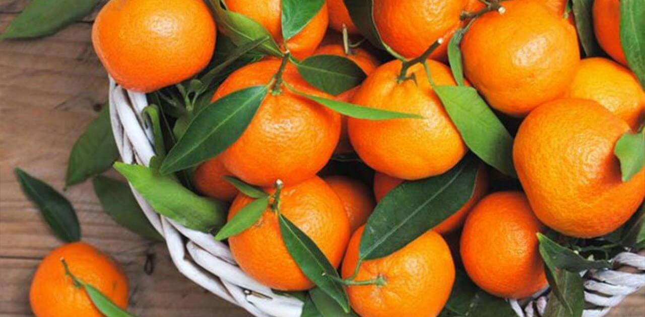 حمضيات صغيرة بفوائد كبيرة بفضل فيتامين «سي» والألياف ومضادات الأكسدة