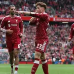 سقوط توتنهام أمام نيوكاسل وتعادل ليفربول وإيفرتون في الدوري الإنجليزي