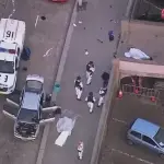 دولة فلسطين تدين الهجوم في سيدني وتؤكد رفضها لجميع أشكال التطرف والإرهاب