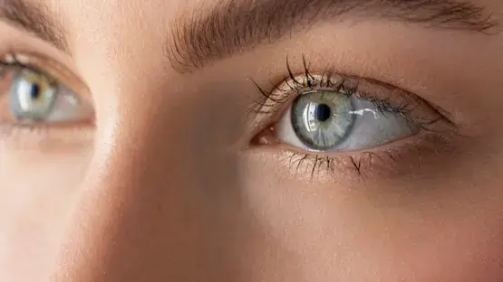 خبراء يؤكدون: توقيت التناول ونوع الوجبة عاملان حاسمان في امتصاص الفيتامين