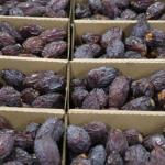 تركيا ترفع كوتا إعفاء التمور الفلسطينية إلى 7 آلاف طن سنوياً